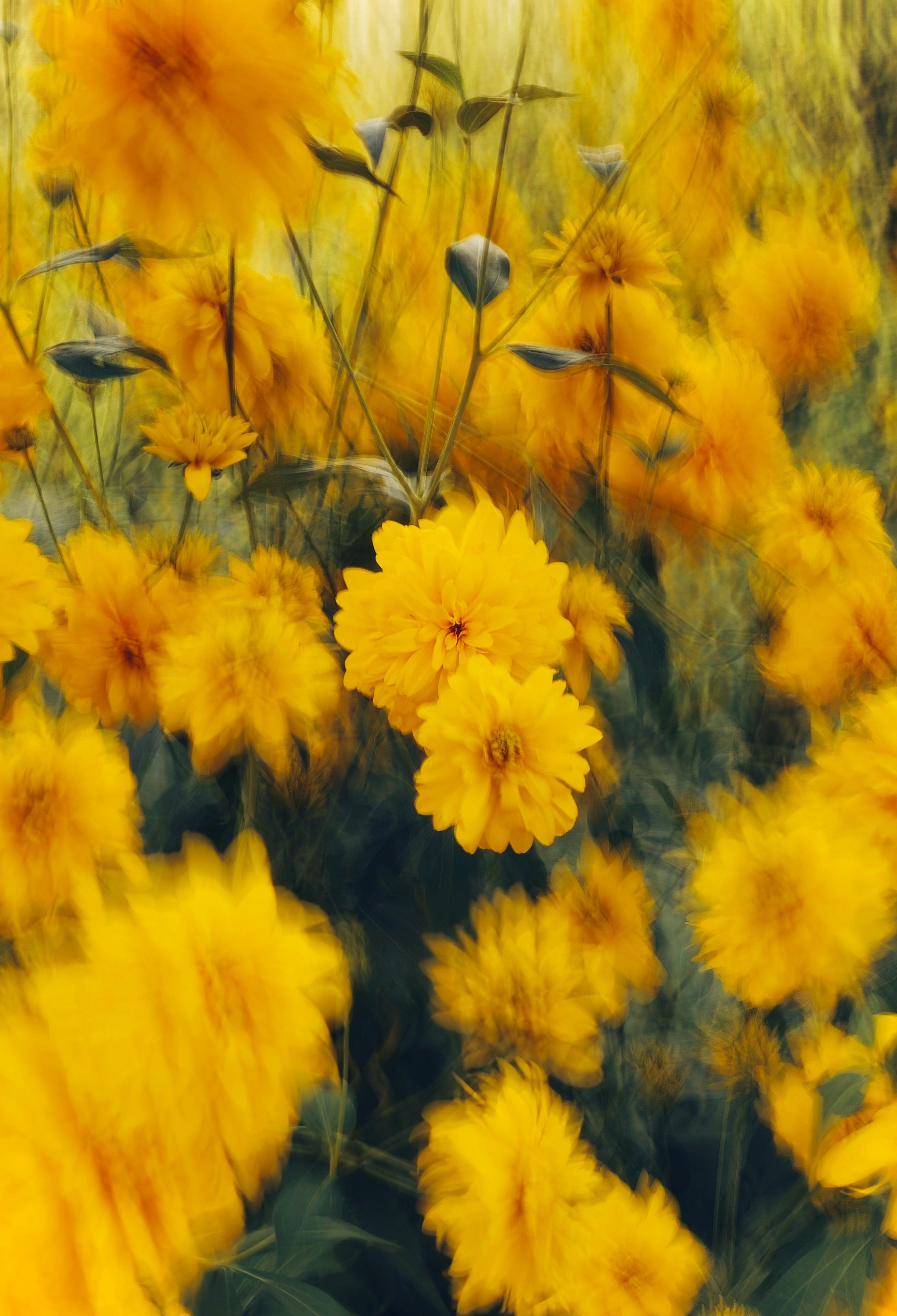 Therapy room with couch and plants